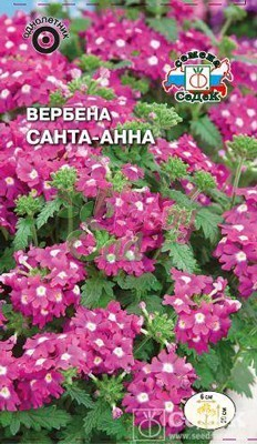 Цветы Вербена Санта-Анна розовая (0,1 г) Седек