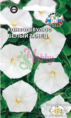 Цветы Конвольвулюс Белый Танец  (1г) Седек