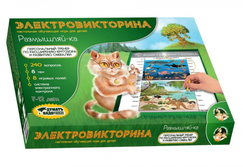 Игра Электровикторина 