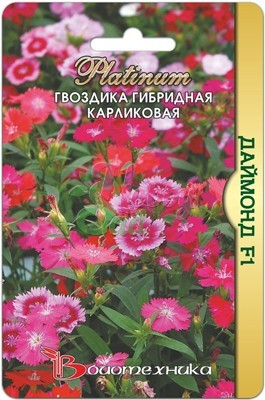 Цветы Гвоздика Даймонд F1 гибридная карликовая (8 шт) Биотехника