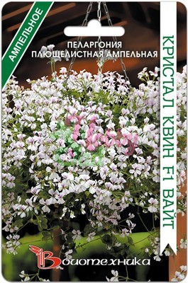Цветы Пеларгония плющелистная ампельная Кристал Квин F1 Вайт (5 шт) Биотехника