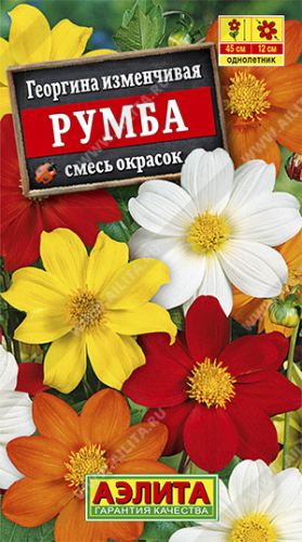 Георгина Румба, смесь