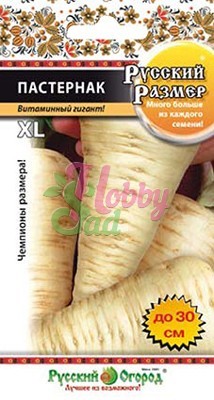 Пастернак Русский размер (100 шт) РО