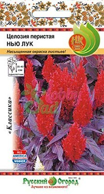 Цветы Целозия Нью Лук перистая (15 шт) РО