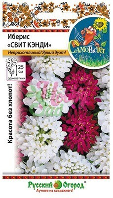 Цветы Иберис Свит Кэнди смесь (0,2 г) РО серия СамоРастет