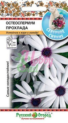 Цветы Остеоспермум Прохлада (15 шт) РО серия Северное сияние