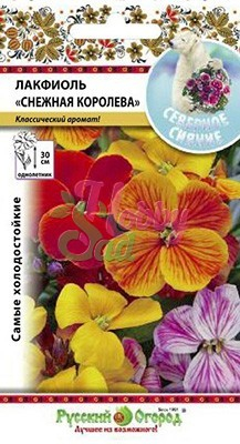 Цветы Лакфиоль Снежная королева смесь (100 шт) РО серия Северное сияние