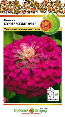 Цветы Цинния Королевский пурпур (5 шт) РО