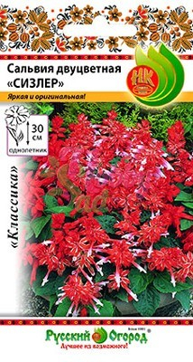Цветы Сальвия Сизлер двуцветная,смесь (15 шт) РО