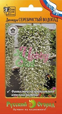 Цветы Дихондра Серебристый Водопад F1 (5 шт) РО серия Профи