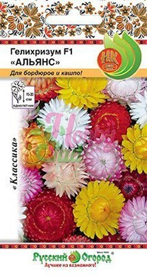 Цветы Гелихризум Альянс компактный (0,1 г) РО
