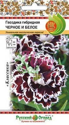 Цветы Гвоздика Черное и Белое гибридная (50 шт) РО