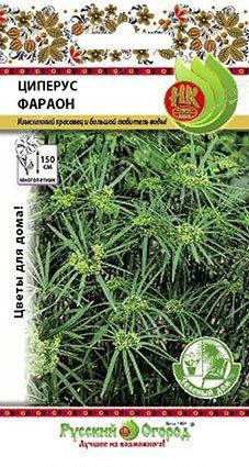 Цветы Циперус Фараон (зел.дом) (0,01г) РО