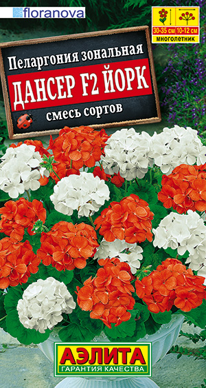 Цветы Пеларгония Дансер F2 Йорк, смесь 5 шт ц/п Аэлита (комн.)