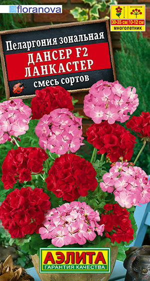 Цветы Пеларгония Дансер F2 Ланкастер, смесь 5 шт ц/п Аэлита (комн.)