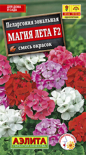 Цветы Пеларгония Магия лета F2, смесь 5 шт ц/п Аэлита (комн.)
