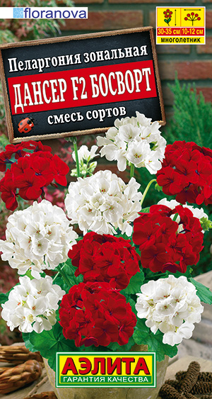 Цветы Пеларгония Дансер F2 Босворт, смесь 5 шт ц/п Аэлита (комн.)