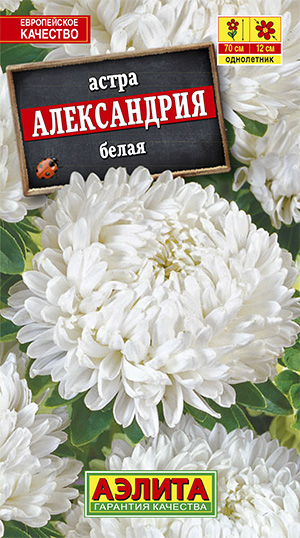 Цв. Астра Александрия Белая 0,1 г ц/п Аэлита