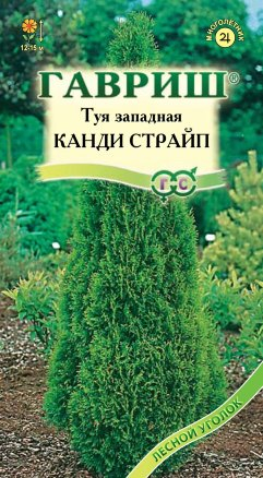 Цветы хвойн. Туя западная Канди Страйп 0,05 г ц/п Гавриш (мног.)