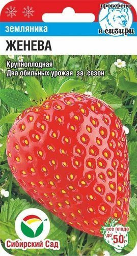ягоды Клубника Женева 10 шт ц/п Сиб.Сад
