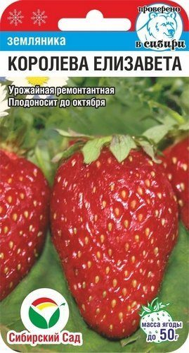 ягоды Клубника Королева Елизавета 10 шт ц/п Сиб.Сад
