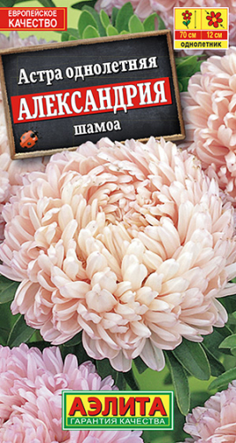 Цв. Астра Александрия Шамоа 0,1 г ц/п Аэлита