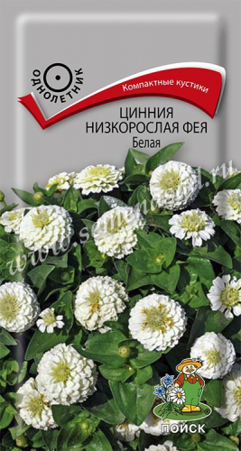 Цветы Цинния Фея Белая, низкорослая 0,1 г ц/п Поиск