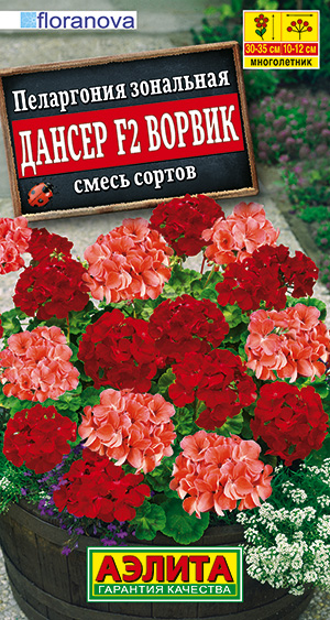 Цветы Пеларгония Дансер F2 Ворвик, смесь 5 шт ц/п Аэлита (комн.)