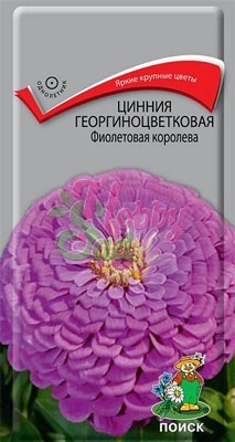 Цветы Цинния Фиолетовая королева георгиноцветковая (0,4 г) Поиск