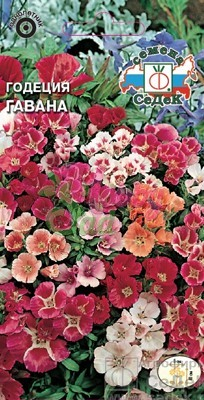 Цветы Годеция Гавана  (0,1 г) Седек