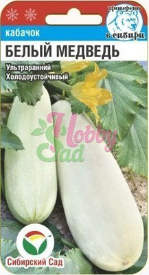 Кабачок Белый медведь (5 шт) Сибирский Сад