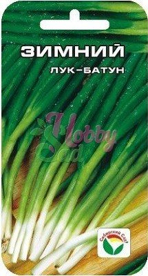 Лук Зимний батун (1 гр) Сибирский Сад