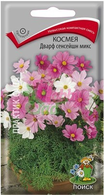 Цветы Космея Дварф сенсейшн микс (0,2 г) Поиск