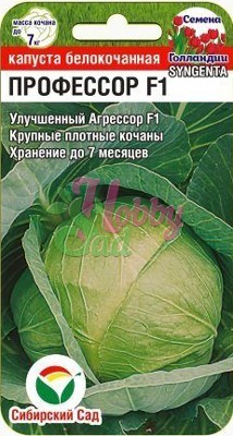 Капуста Профессор F1 белокочанная (10 шт) Сибирский Сад
