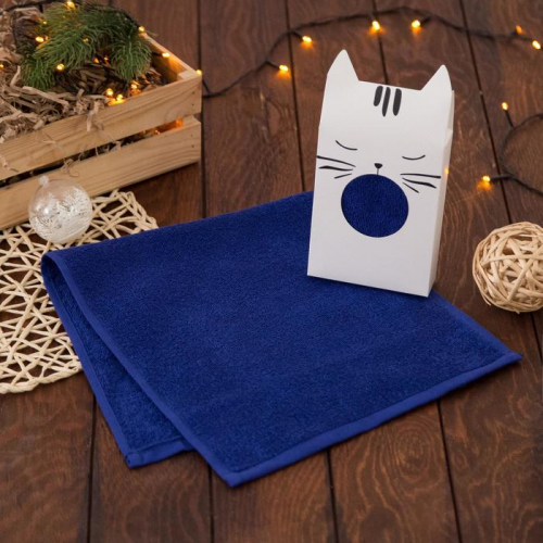 Полотенце подарочное «Котик», 30х60 см, цвет синий