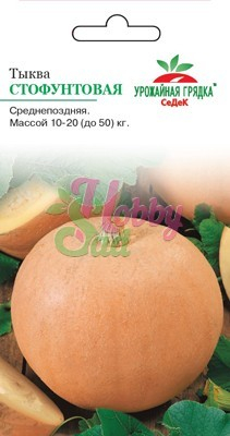 Тыква Стофунтовая (2 г) Седек