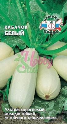 Кабачок Белый (2 г) Седек