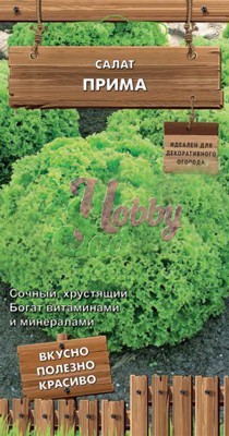 Салат Прима (1 гр) Поиск