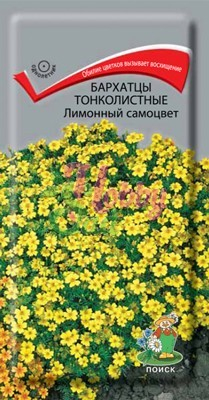 Цветы Бархатцы Лимонный Самоцвет тонколистные (Тагетес) (0,1 г) Поиск