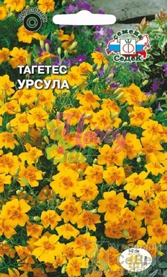 Цветы Тагетес Урсула (0,1г) Седек