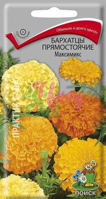 Цветы Бархатцы Максимикс (Тагетес прямостоячий) (0,3 г) Поиск