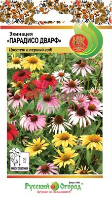 Цветы Эхинацея Парадисо Дварф,смесь (10 шт) Русский Огород