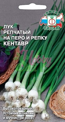 Лук Кентавр репчатый на перо и репку (1 г) Седек