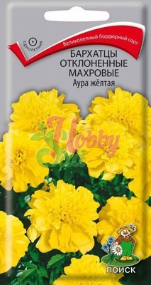 Цветы Бархатцы Аура Желтая отклоненные махровые (0,4 г) Поиск