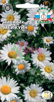 Цветы Нивяник Мей куин  (0,2г) Седек