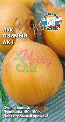 Лук АК1 репчатый (0,5 г) Седек