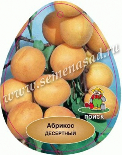 Абрикос Десертный (средний, плод желтый с  румянцем)