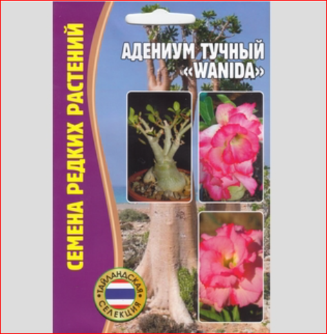 Семена Адениум тучный Wanida (3 сем) Селекция Тайланд