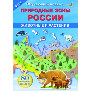 ОБУЧАЮЩИЙ ПЛАКАТ. Природные зоны России. Животные и растения