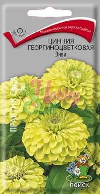 Цветы Цинния Энви георгиноцветковая (0,4 г) Поиск